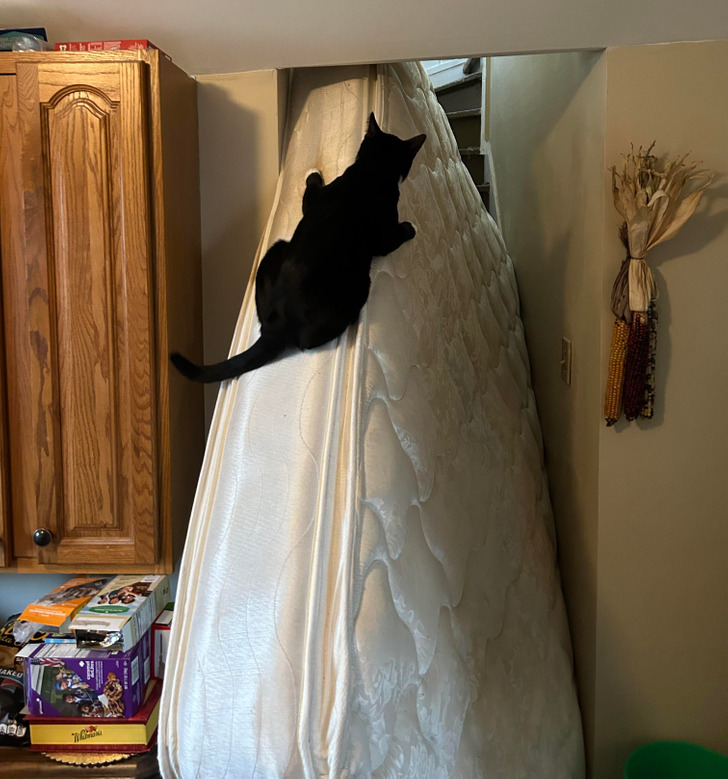 0e1e2f58849903bac0a04a60d2 0e1e2f58849903bac0a04a60d2