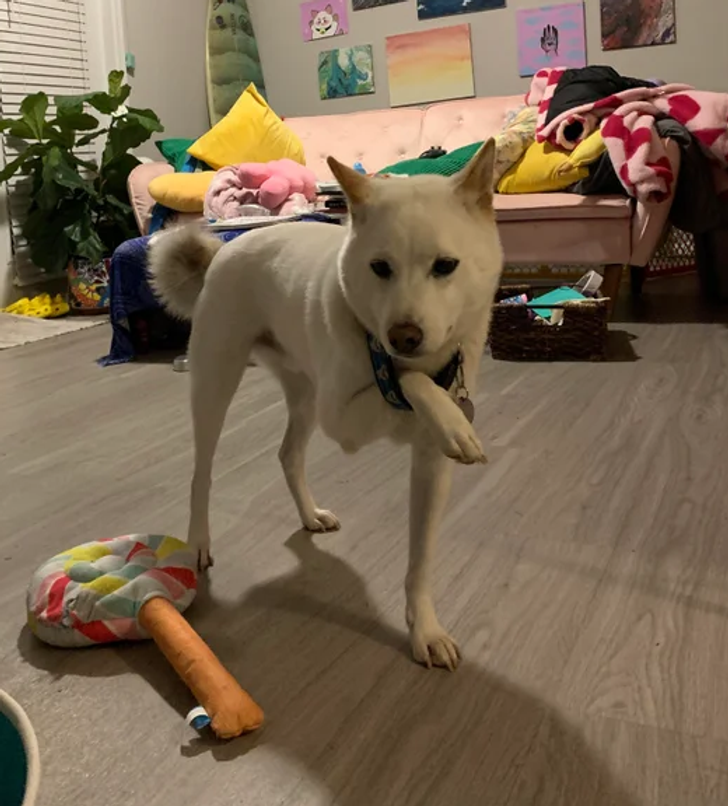 0e1fc85e989959cf481489d151