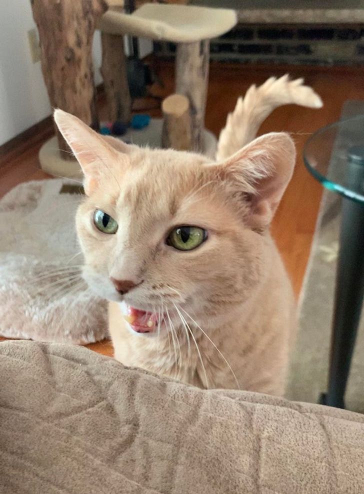 0e23765a36b9f6bb4a9a4b4796