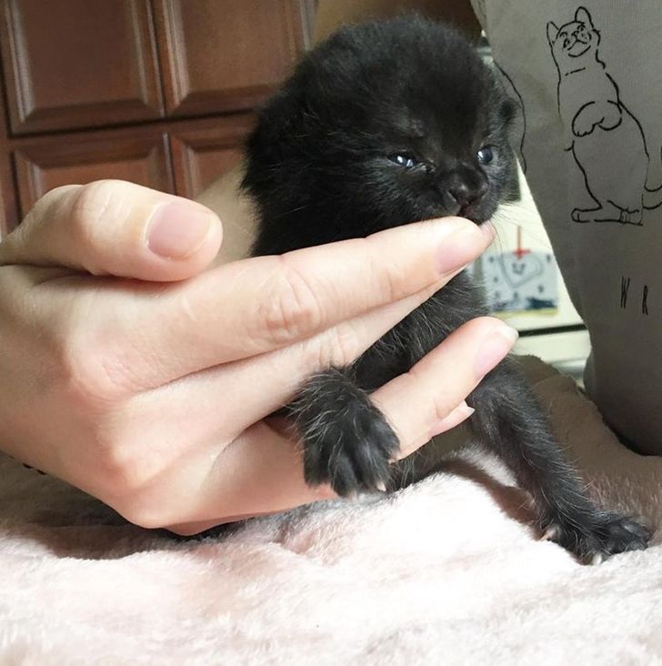 0e25505056b318095385bb5168