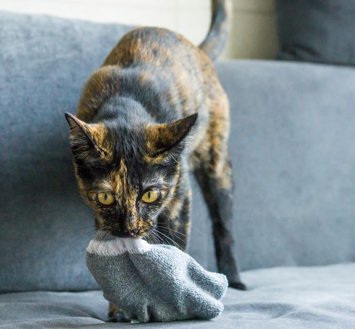 0e29d055cc8243554d7de0e7fe