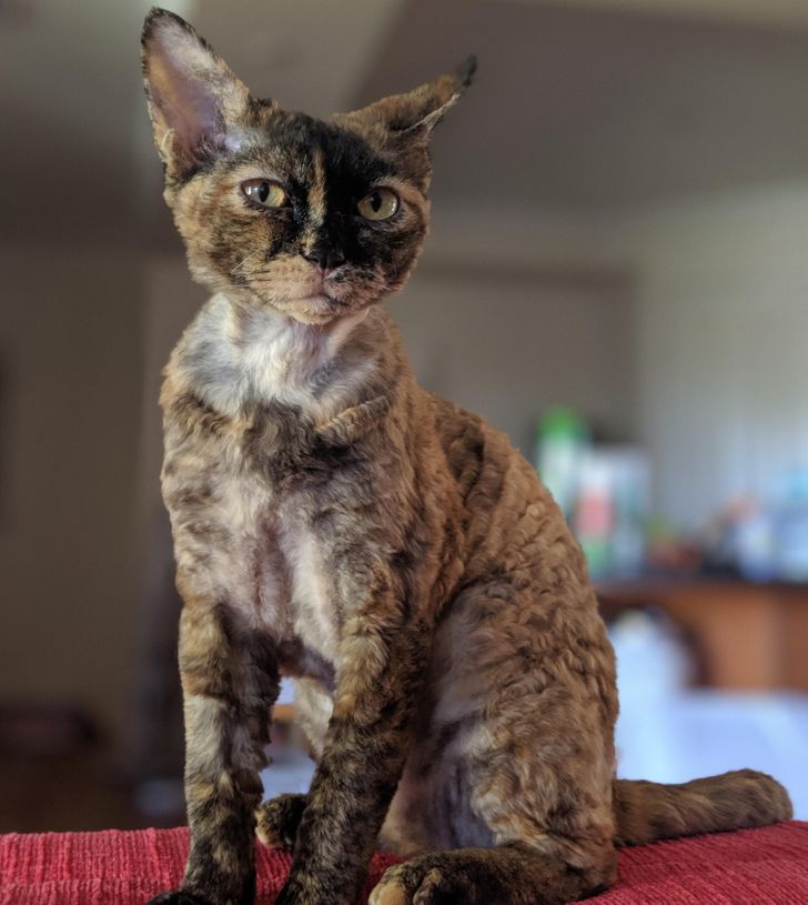 0e2a8c5ab6874480783ed7b260 0e2a8c5ab6874480783ed7b260