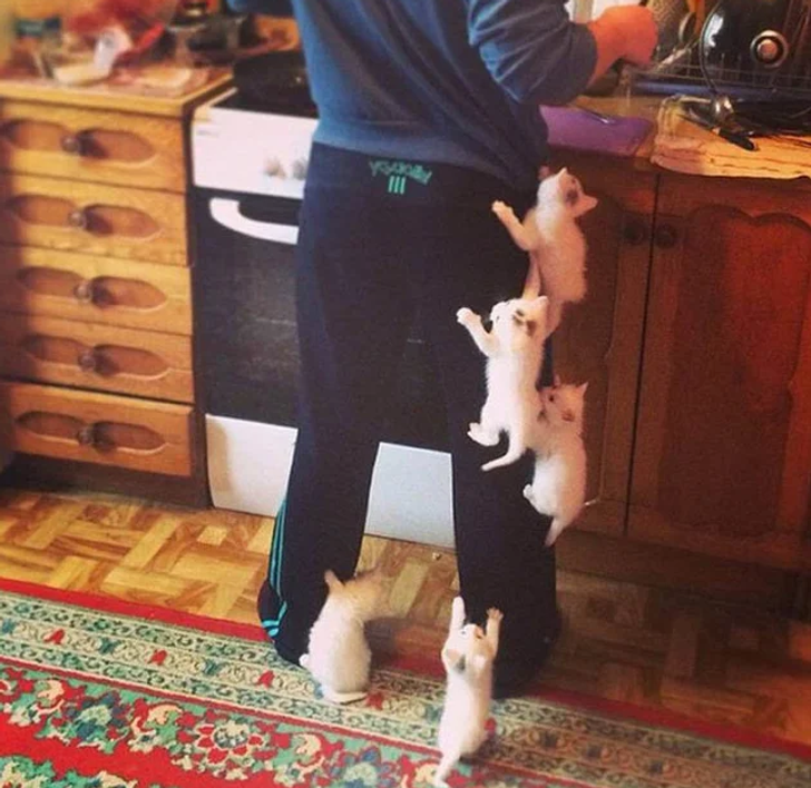 0e2d6d502985c75ad29fdb9fe4