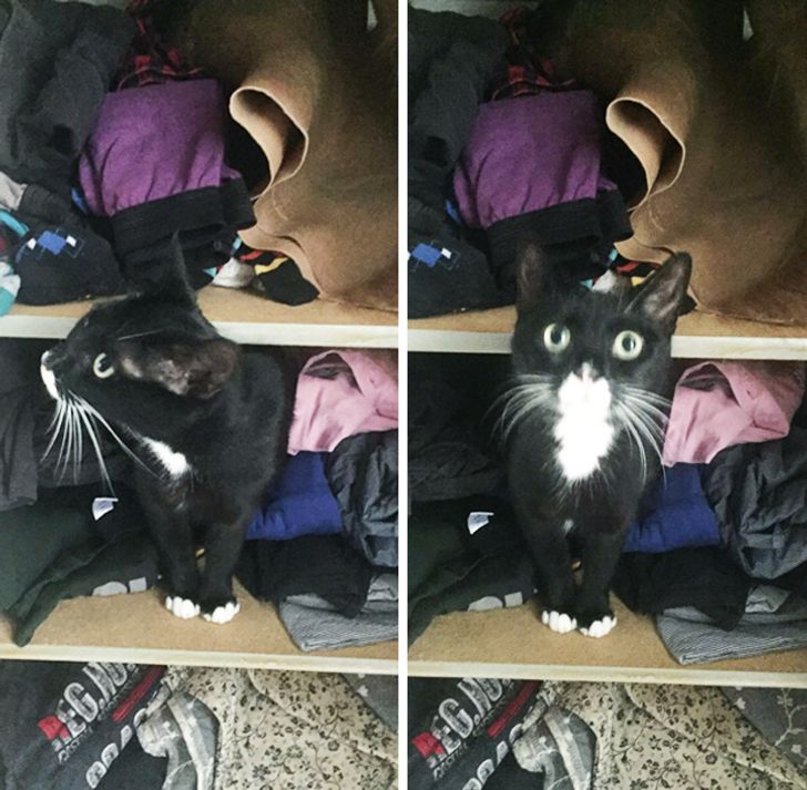 0e2d805cb0a575ae73586cc653