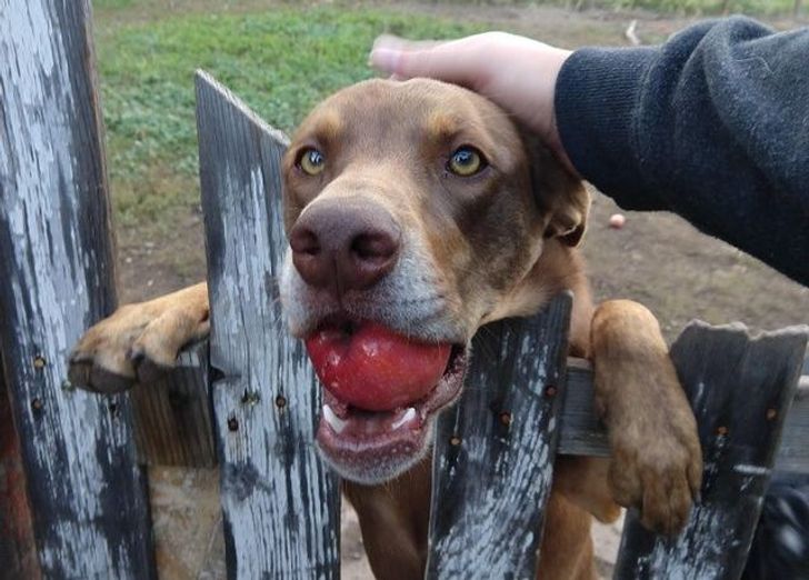 0e2f8953679cfc649b1000661a 0e2f8953679cfc649b1000661a