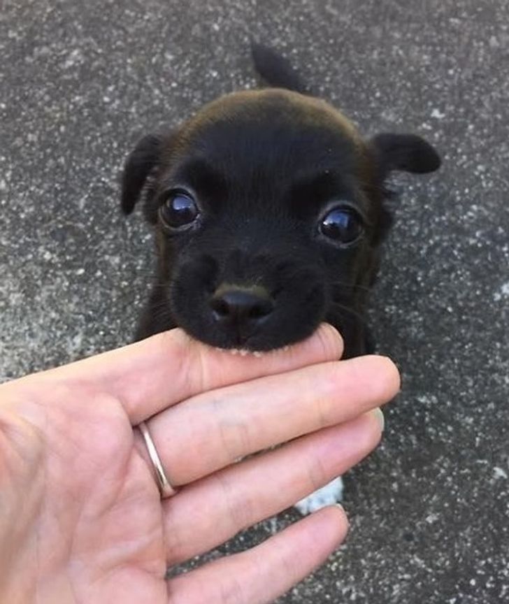 0e35b654b7ac4303a0910a4d68