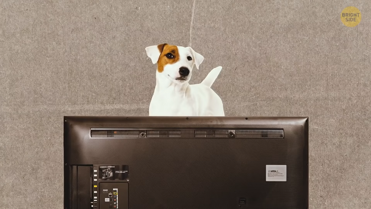 0e38e55870b8a0a3e43fe294fb