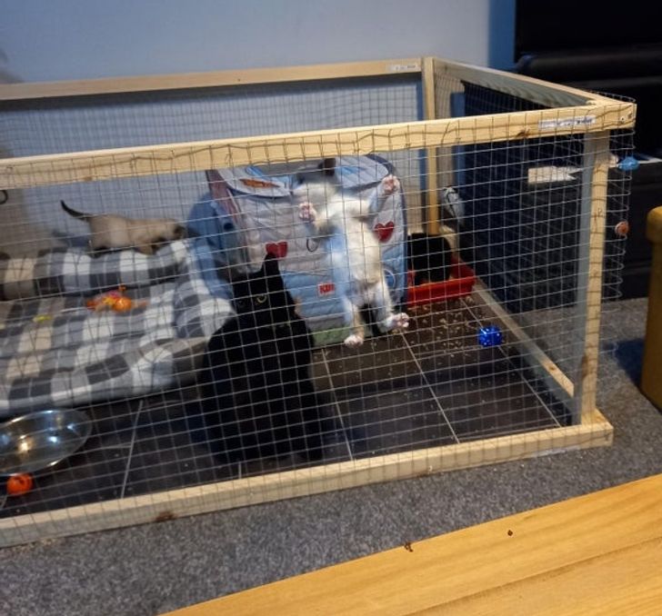 0e38f45aacb2d8d36d2bf8344a