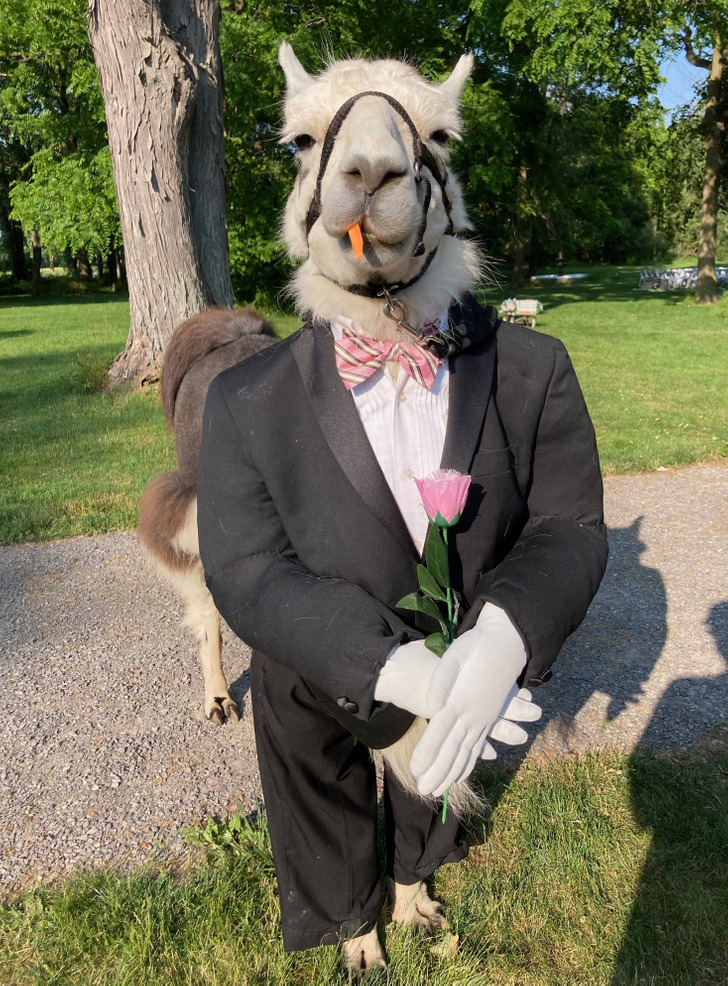 0e3b065a0991829c7cfa0ce04d