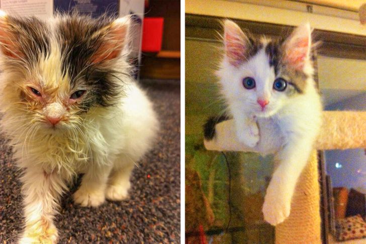 0e3fbc51089672e5f6f65758ea