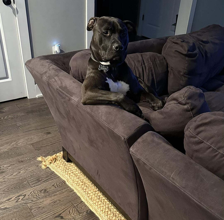 0e52685c4096726616c58d32be 0e52685c4096726616c58d32be