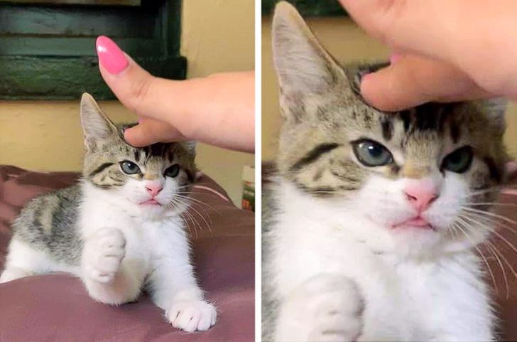 0e5efe507cb2237c903dd029e6