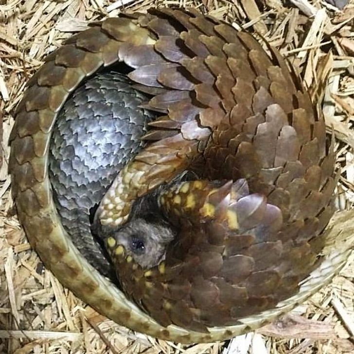 0e621a58fca146234cf812dae9