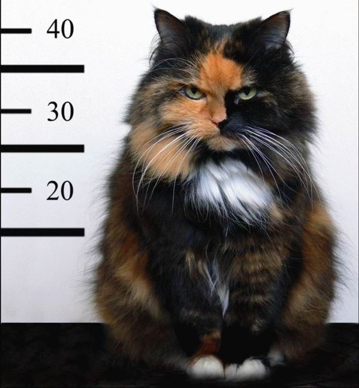 0e6c1054b0a4675f338976ba73