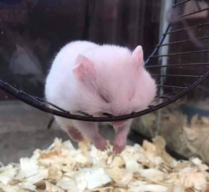 0e6e2e504b9b0d4df2f31f33a7