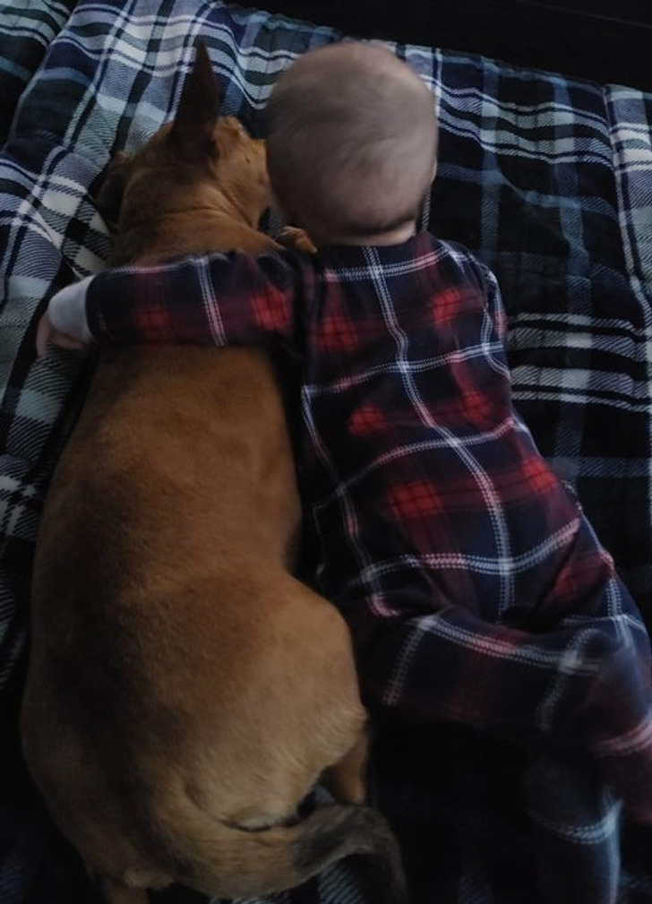 0e74f95e48ab3dbbe579a86f6d