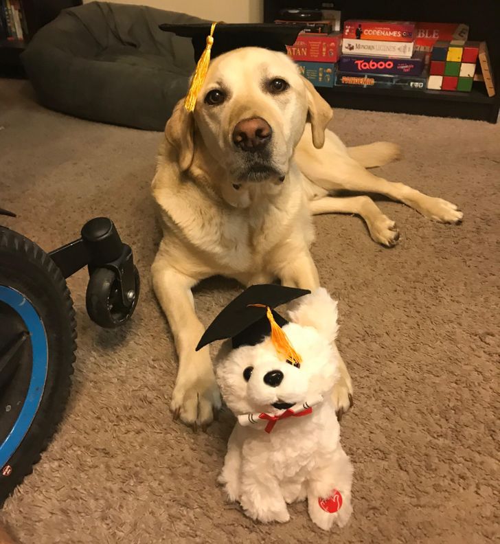 0e77a35b43b286784e1b96782c