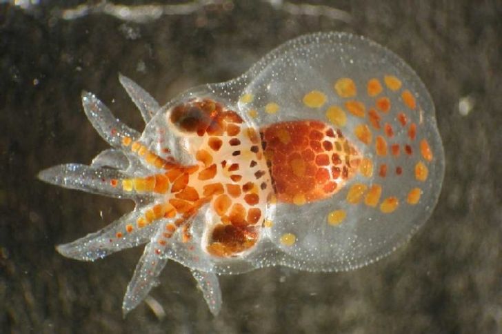 0e787b5e4cba10925a65ceec74