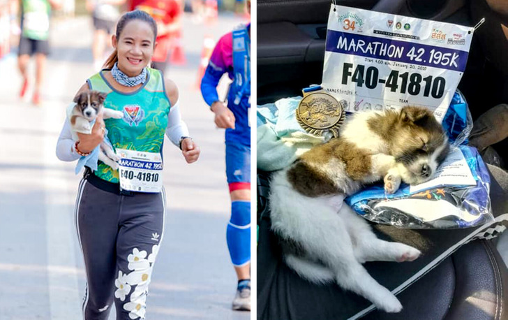 0e7beb5fd6a8278c573d26179c