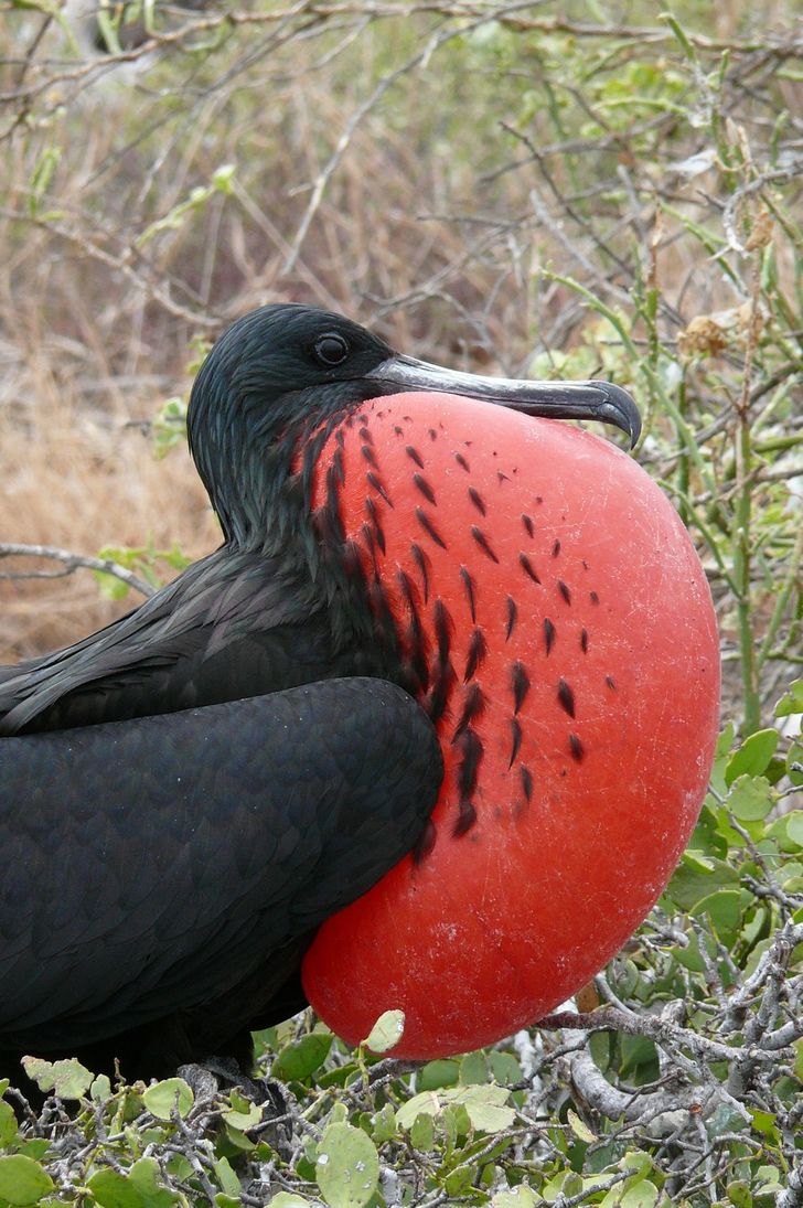 0e7dd15864a29e8b4a43807d62