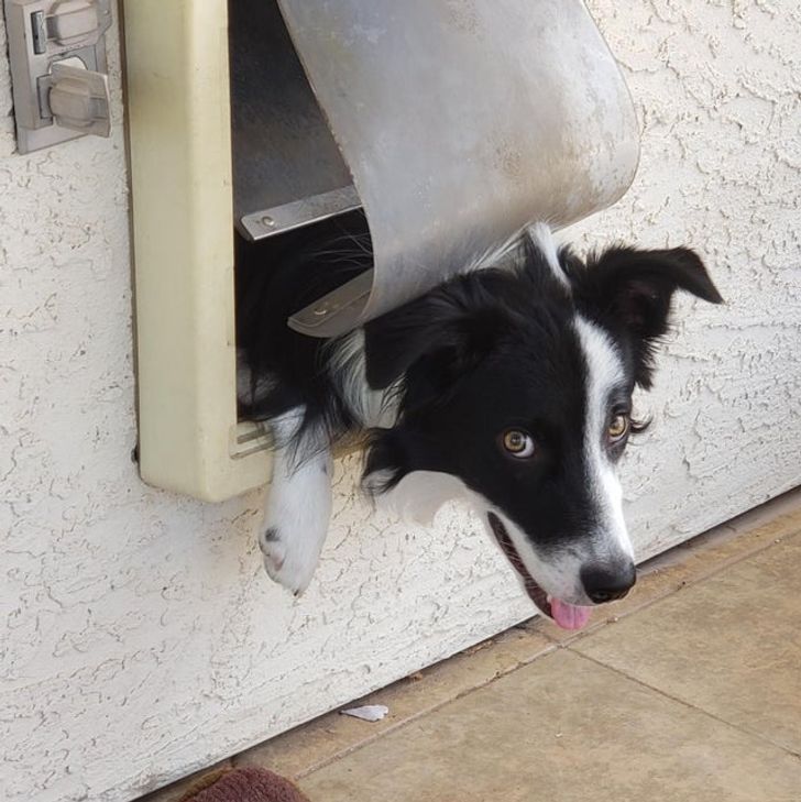 0e83b45421acefd947d7b5a377