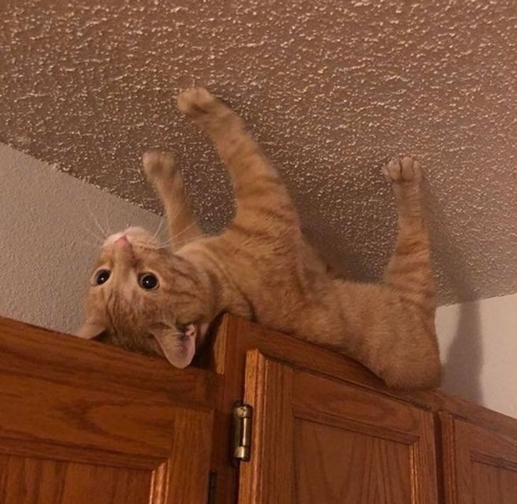 0e87b157448f1f82392be26760