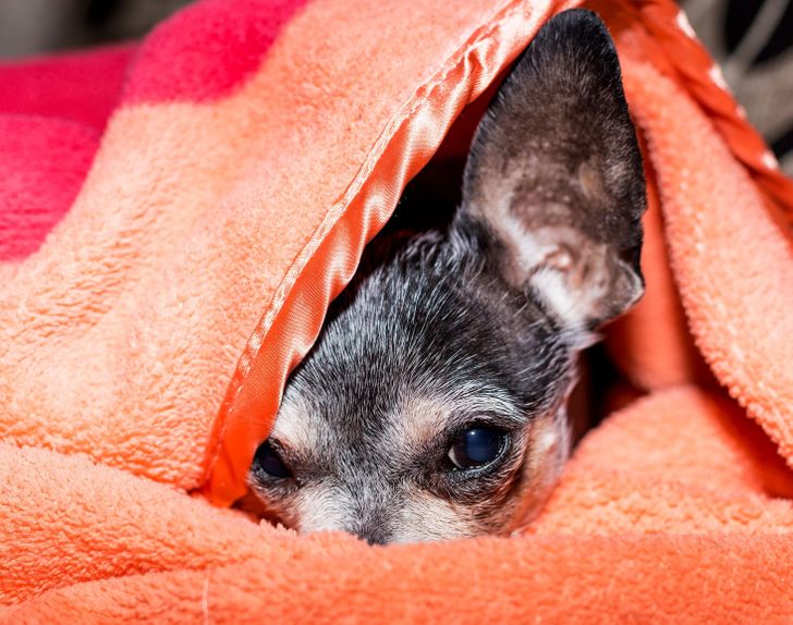 0e87c859419dd5dddf4475aa40