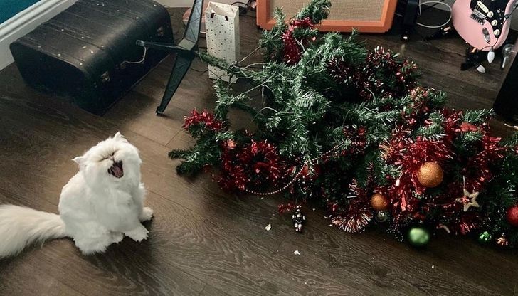 0e90805eb5bff26f41736010a8