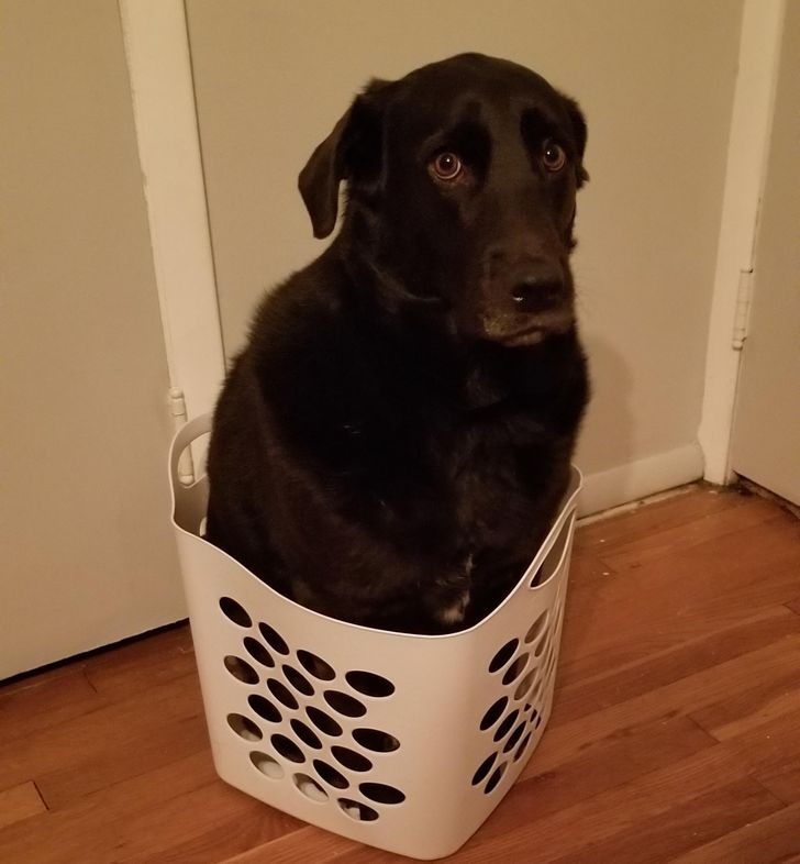 0e92175ef2b6dff0a000e0b5c4