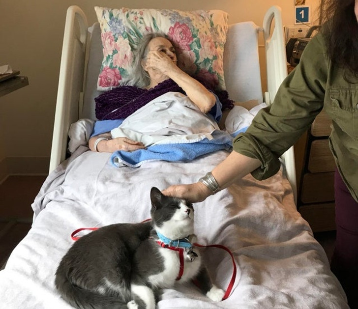 0e9b8e5ad08785a861d9a245c4