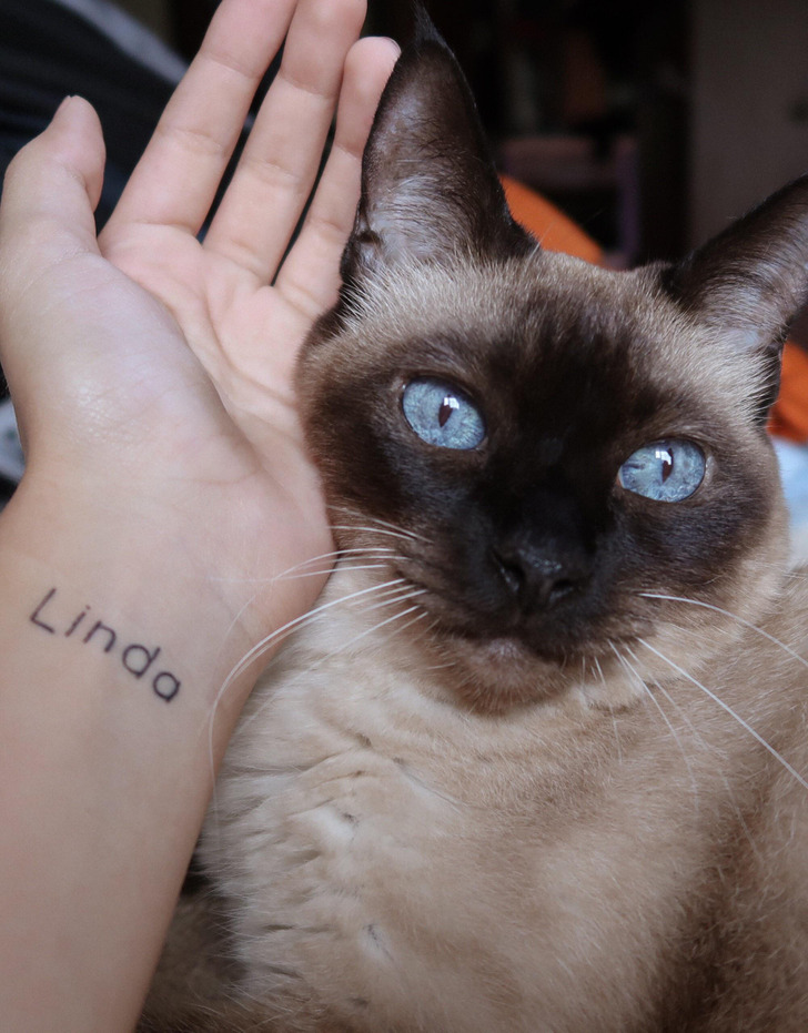 0eabc3597e8292256499931593