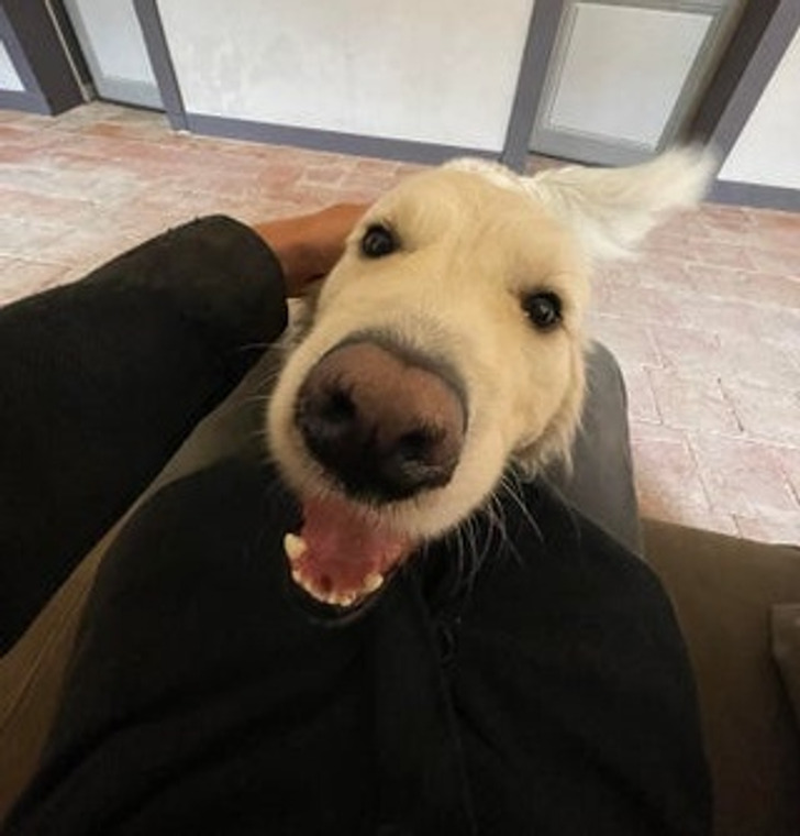 0eb20552eba6bd504c710a8d13 0eb20552eba6bd504c710a8d13