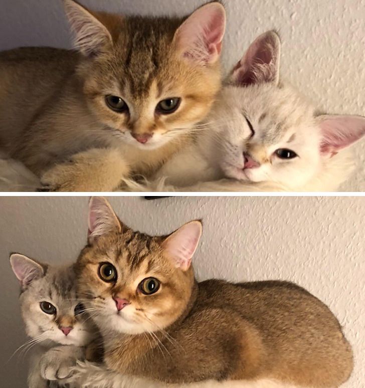 0eb8a1509f88f3a3cf9c5e51a8