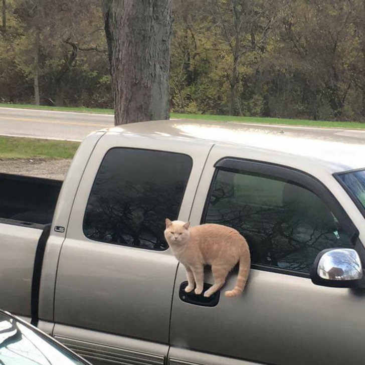 0eb8e75149a262e76cb9b665d4