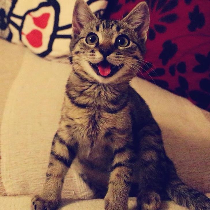 0ebbf457dfb6b923ee9b801e30