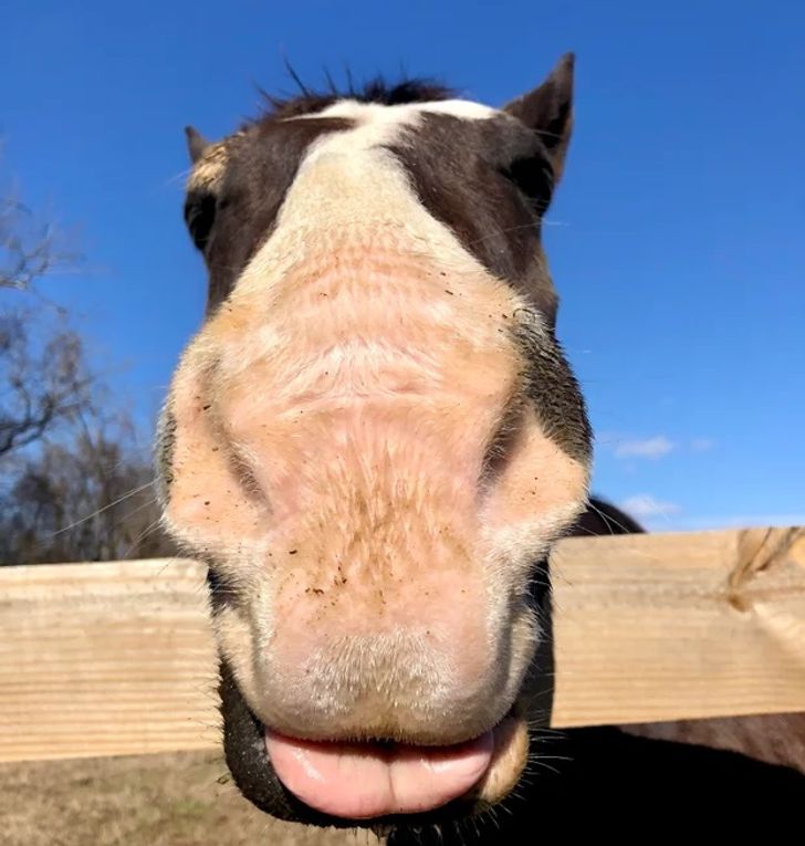 0ec4a159b6acba0d8317cd4567