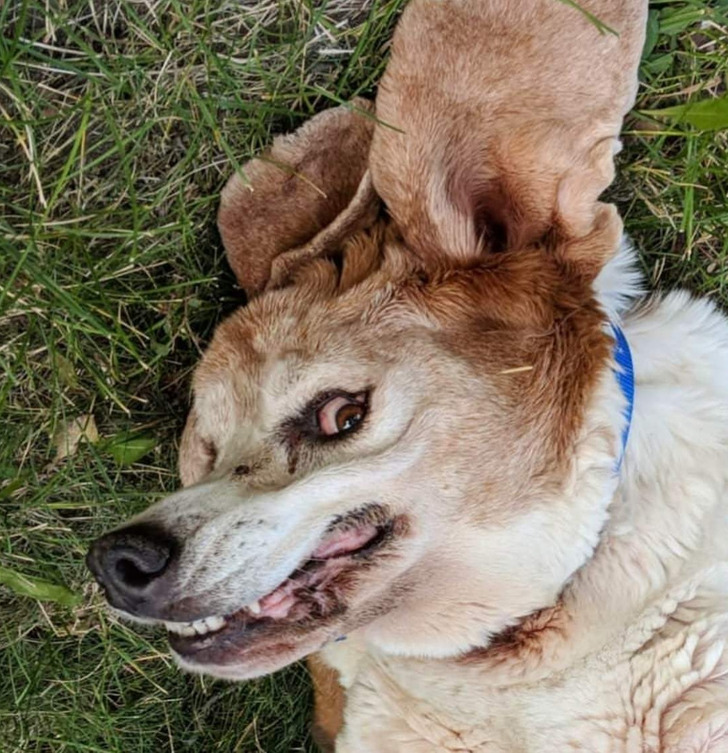 0eccd35858b7ed0a554eaf731e