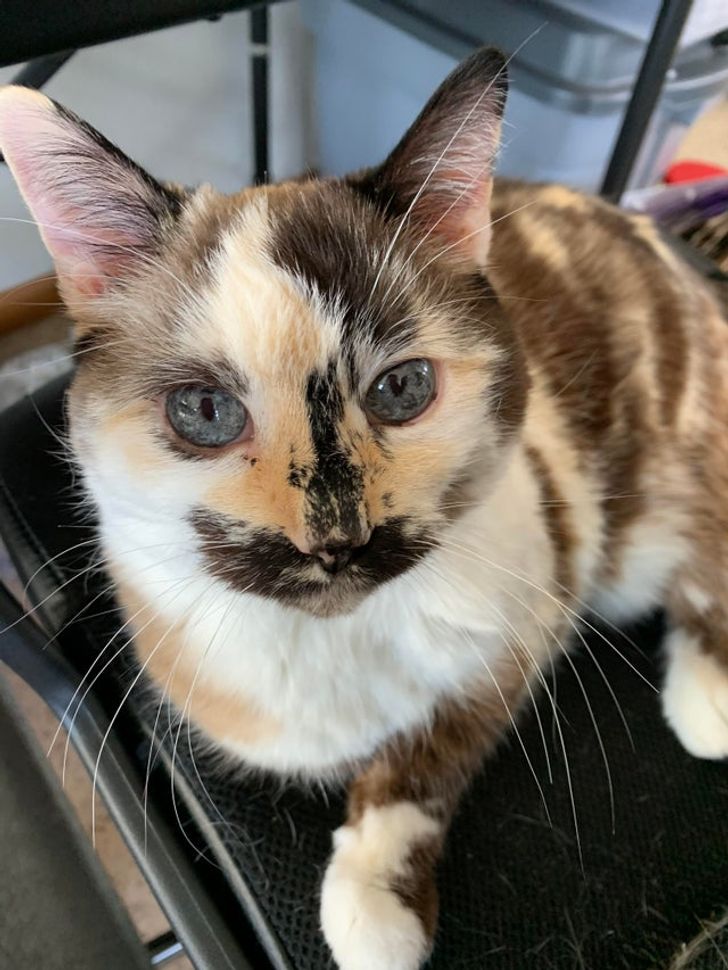 0ed90656cea1ee562909586b67