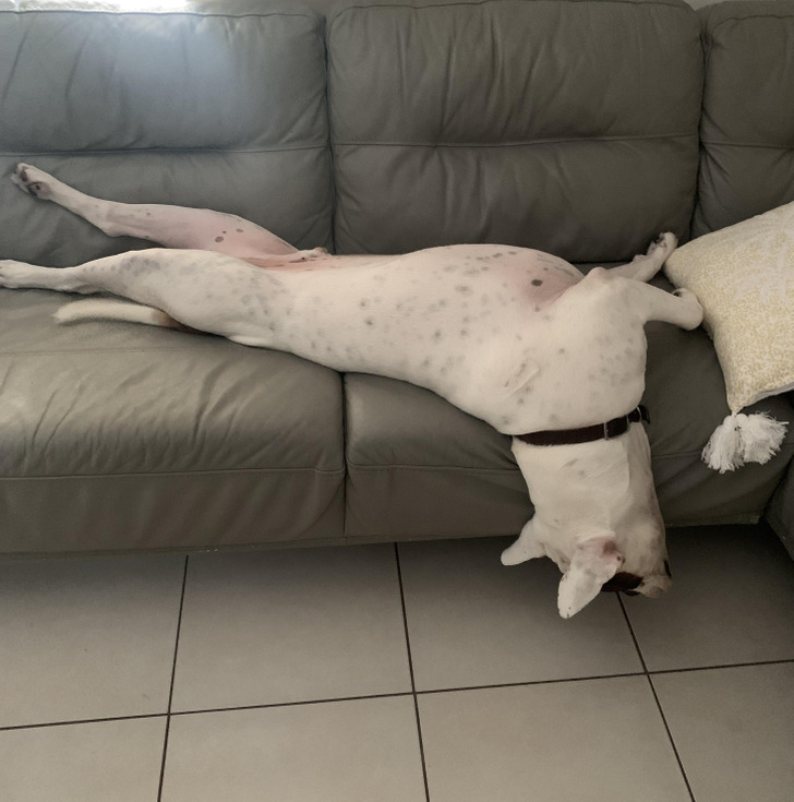 0edfb85007a781a148a603c568