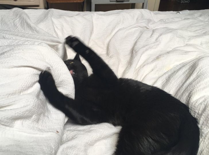 0ee56b51cfb0924f922fb08619