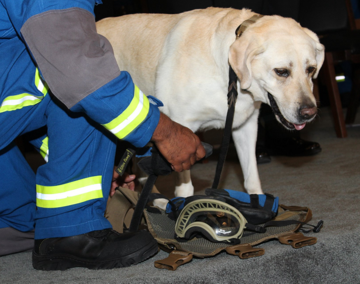 0ee67151868819754138d509f3