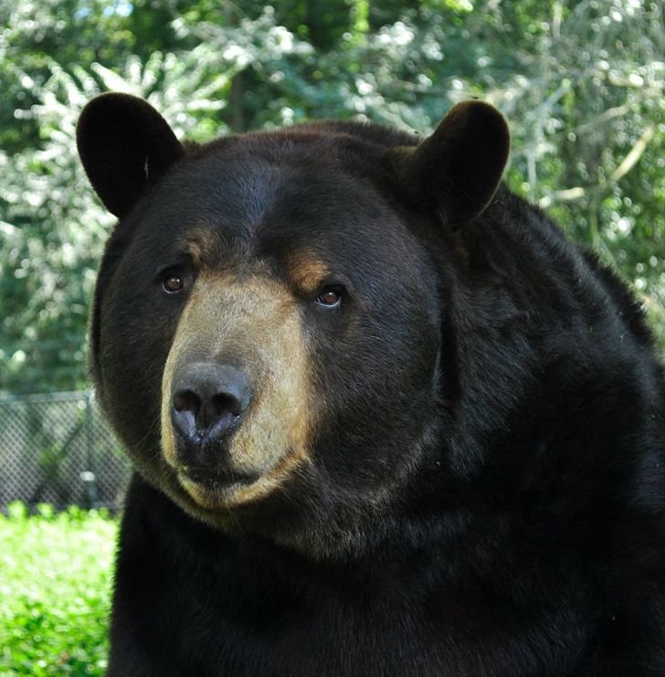 0ee7045228aaf9afd2a595c119