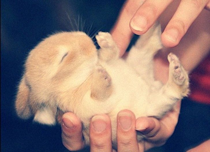 0ef21c58039cf5cb7d3187316d