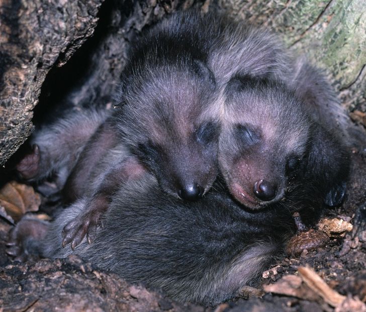 0ef57d565e8c72ce0a39dc536d