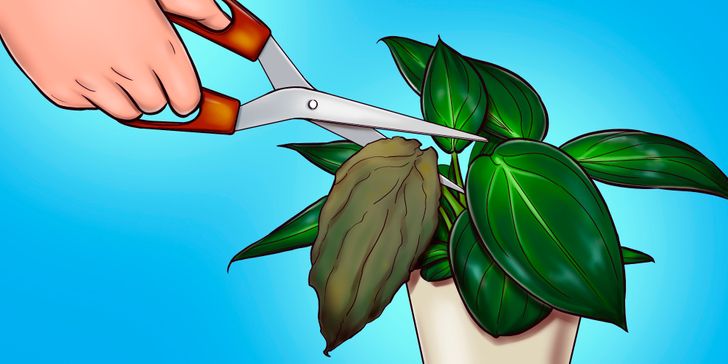 0ef7d45dab8aca2f2beef19c06