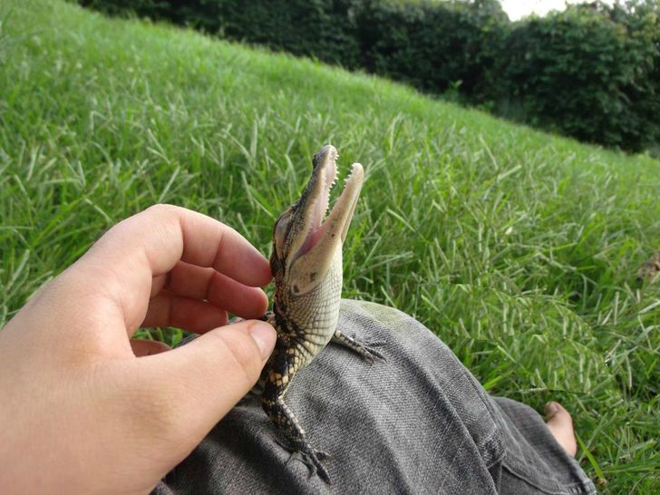 0efeb35d4d93ac45cb7ab2316b