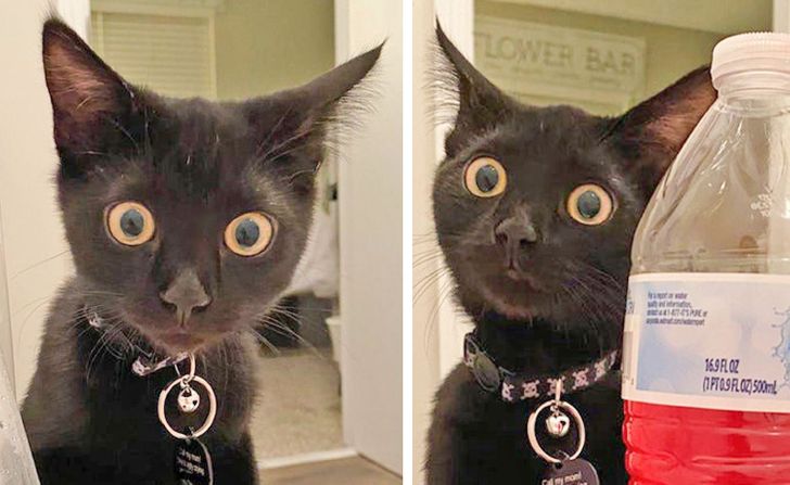 0eff3959cc9f8bb551b2f989d5