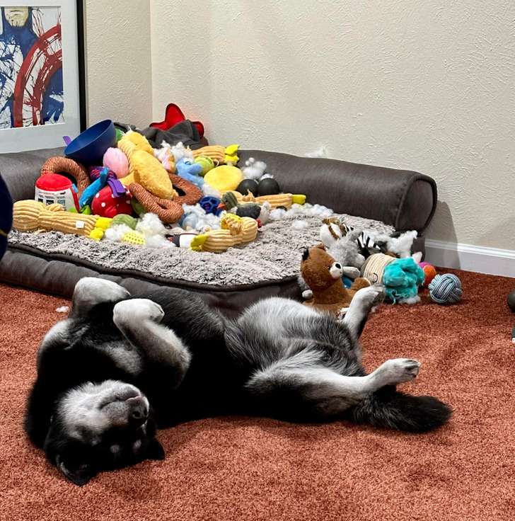 0f014b5f2fb9d2c060a277a70b 0f014b5f2fb9d2c060a277a70b