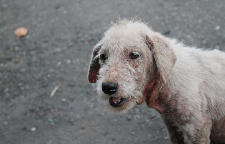 0f031f561c99695f403b26d82b