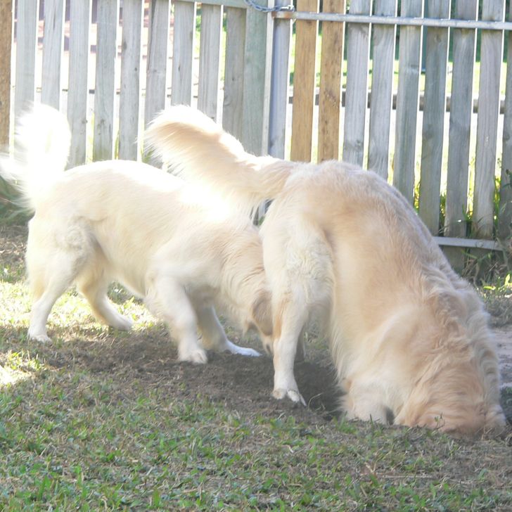 0f06225f7d9b558018a50993b8 0f06225f7d9b558018a50993b8